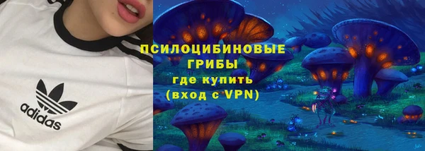 гашик Лиски