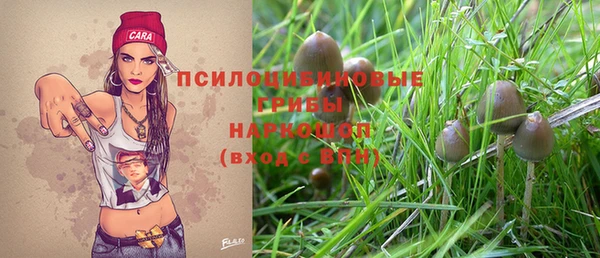 МДПВ Магадан
