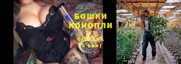 ПСИЛОЦИБИНОВЫЕ ГРИБЫ Лихославль