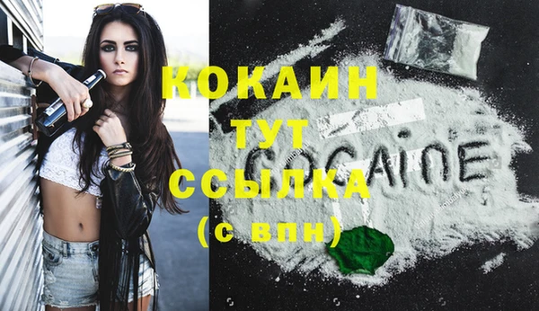 PSILOCYBIN Майский
