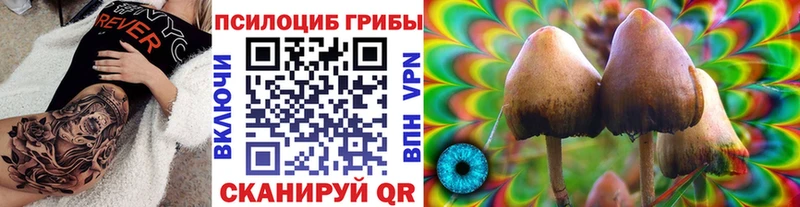 где купить наркоту  Называевск  мега ONION  Псилоцибиновые грибы Cubensis 